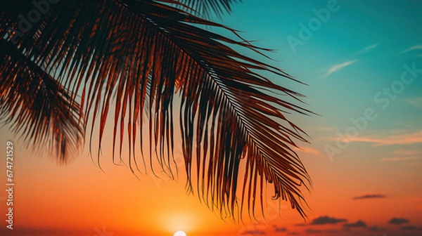 Fototapeta Palm tree during the sunset, wallpaper
