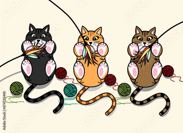 Fototapeta 고양이와 놀아주기(playing with cat)