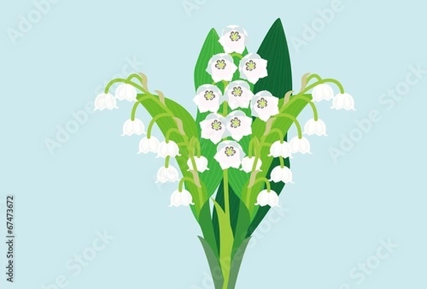 Obraz スズランの花のポストカード