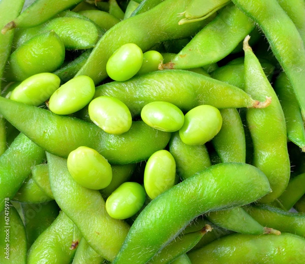 Fototapeta Green soybeans