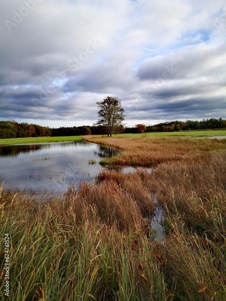 Obraz Landschaft mit Baum und See