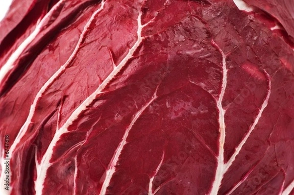 Fototapeta Close up of a radicchio