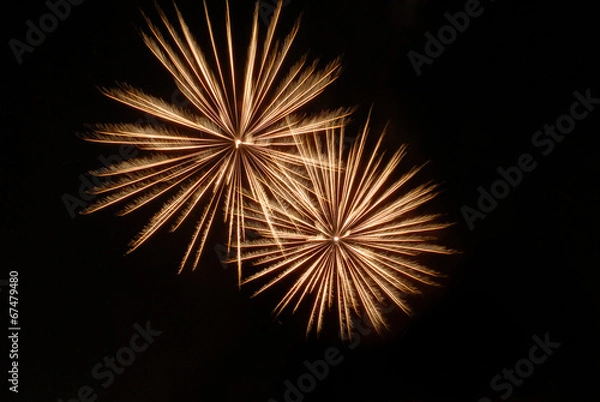 Obraz Un feu d'artifice