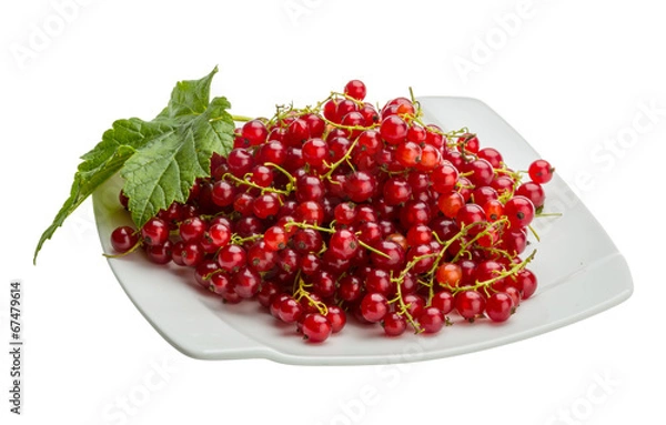 Fototapeta Red currant