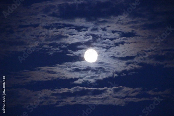 Fototapeta 中秋の名月　月のある景色