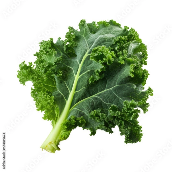 Fototapeta Fresh Green Kale Leaf Isolated on White Background, Perfect for Healthy Recipes and Diets