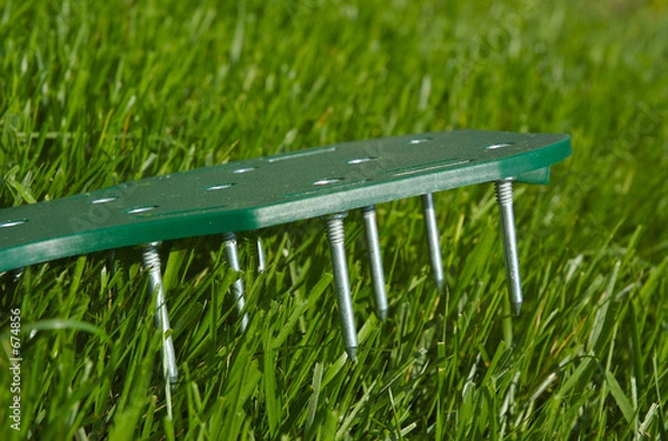 Fototapeta lawn sandals