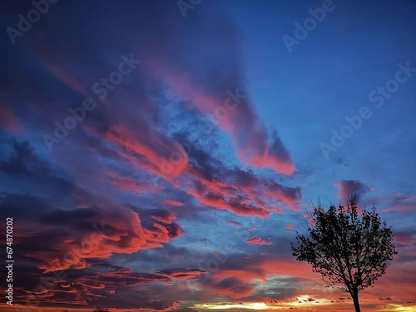 Obraz Himmel Farbspiel mit feurigen Busch