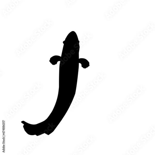 Obraz Snakehead Fish Silhouette 