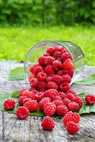 Fototapeta pyszne maliny