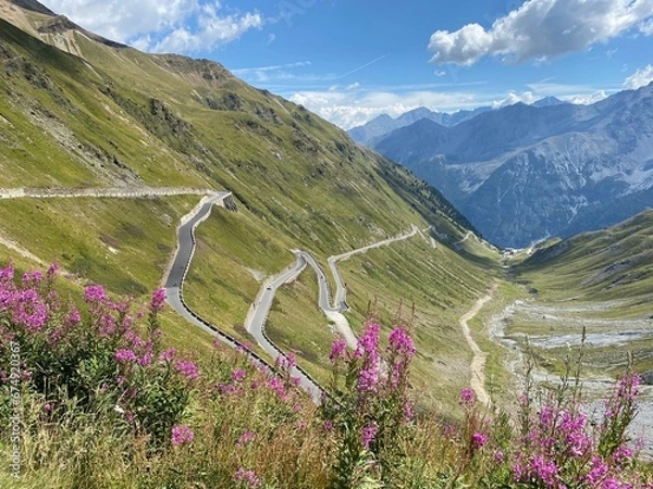 Obraz Stelvio Pass