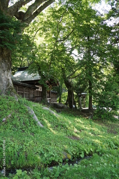 Obraz 諏訪大社　上社前宮　本殿