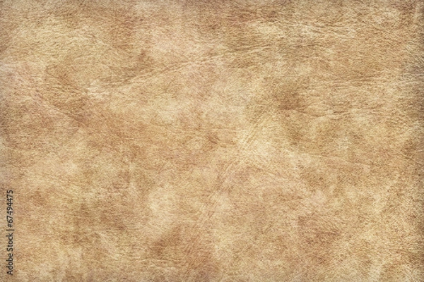 Obraz Animal Skin Parchment Grunge Texture Sample