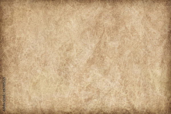 Obraz Animal Skin Parchment Grunge Texture Sample