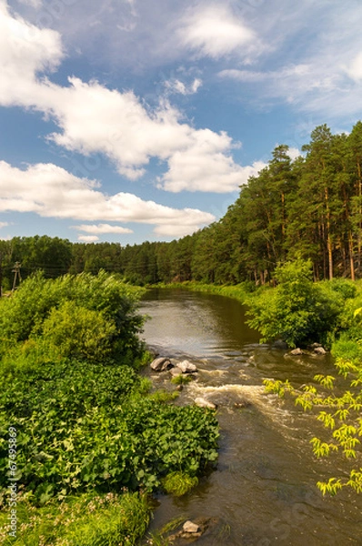 Fototapeta Уральская река в лесу