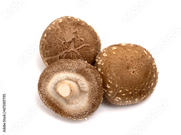 Fototapeta 生椎茸