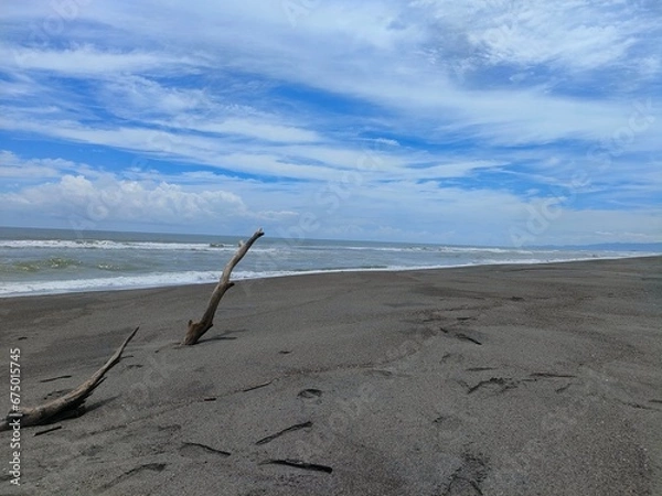 Obraz 台風で荒れた九州の海