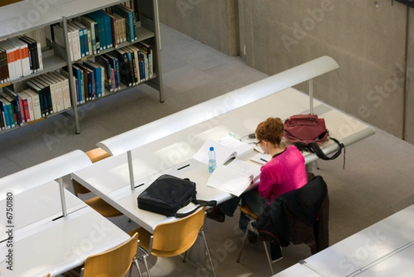 Fototapeta Bibliothèque