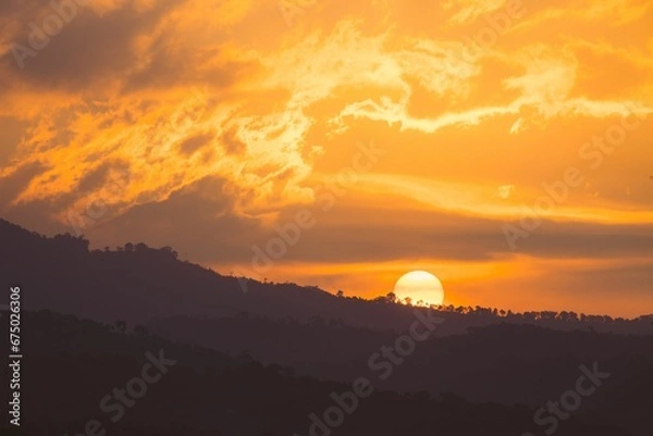 Fototapeta Vibrant orange sky illuminated with a sunrise and silhouetted trees in the foreground.