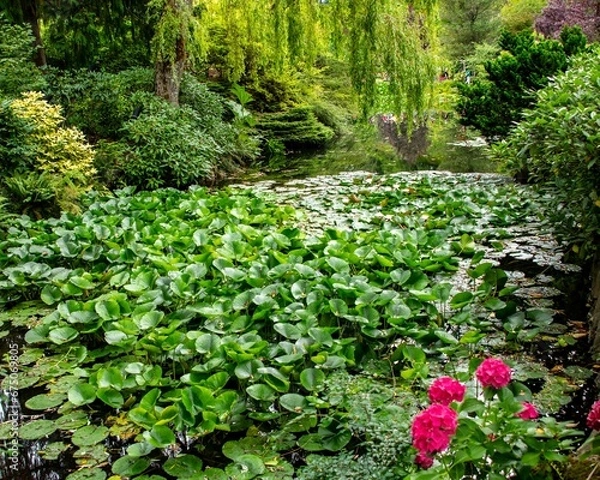 Fototapeta Scenic view of a lily pond in Butchart Gardens, British Columbia.