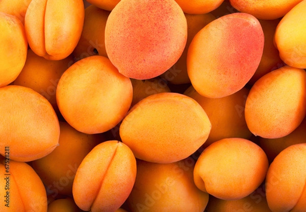 Obraz apricot