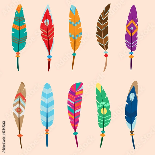 Fototapeta collection of vector colored feathers