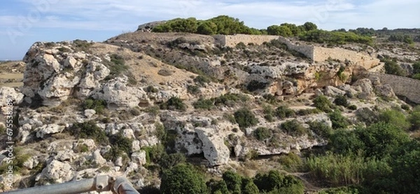 Obraz rocks in the forest