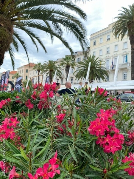Obraz trees in the city