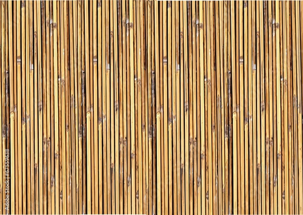 Obraz Ilustracja tło bambusa