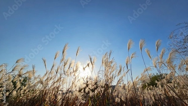 Fototapeta 가을 정취