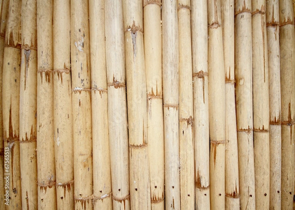 Obraz Bamboo texture