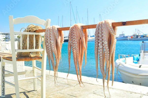 Obraz Octopus drying in the sun, Naxos island, Cyclades, Greece