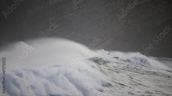 Obraz wave breaks on the coast