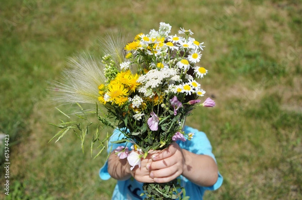 Obraz Boy giving wildflowers