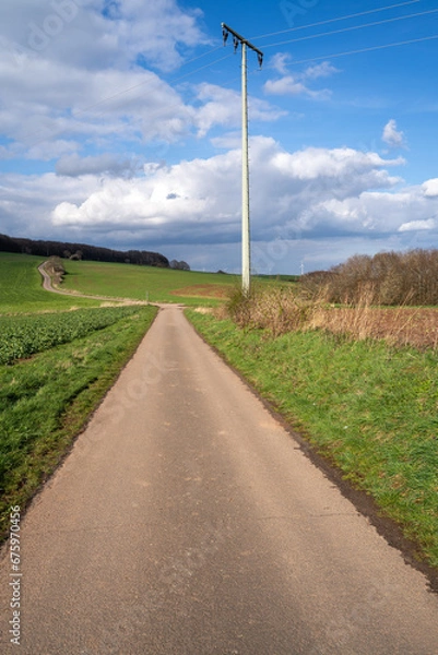 Fototapeta Long footpath in the landscape with blue cloudy sky in spring