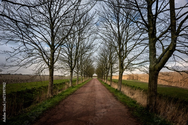 Fototapeta The driveway to the farm Elswerd, between Rottum and Doodstil in the province of Groningen. The driveway is part of a signposted walk.