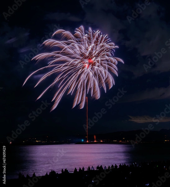 Obraz 花火と花火を見る人のシルエット