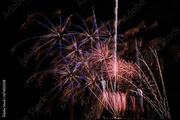 Obraz 花のような花火