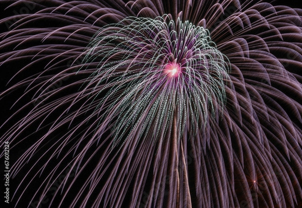 Obraz 降り注ぐ花火