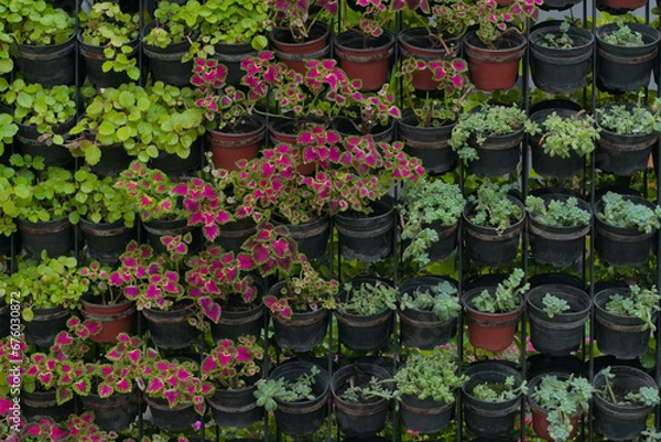 Obraz Vertical Oasis: Lush Green and Red Wall