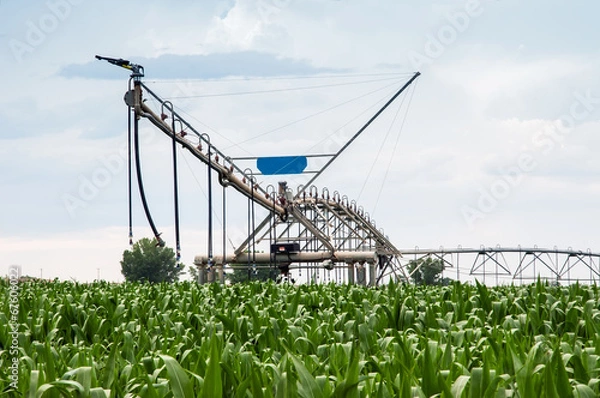 Fototapeta Center Pivot Irrigation System in Cornfield