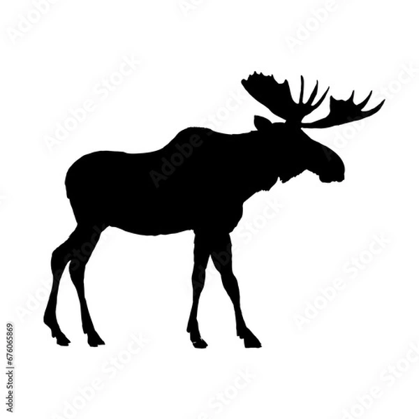Obraz Moose silhouette - vector illustration