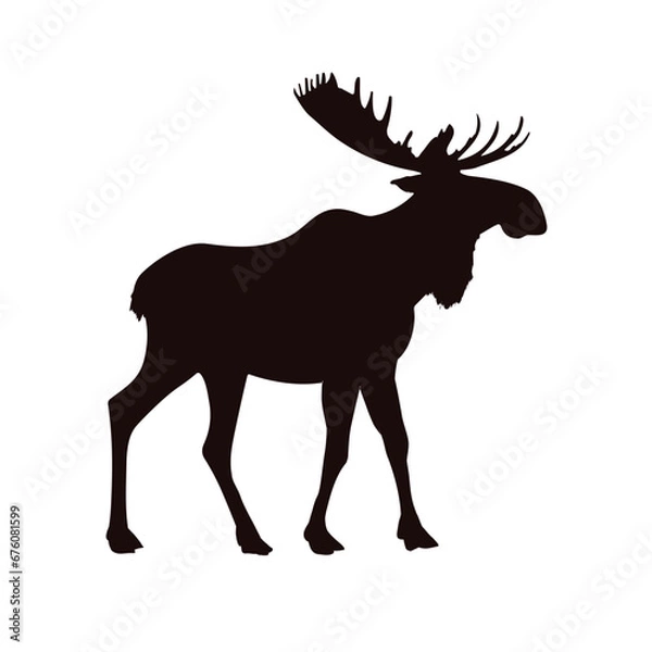 Obraz Moose silhouette - vector illustration