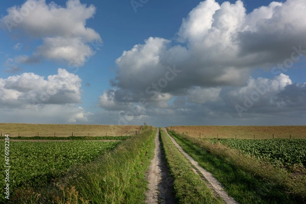 Fototapeta Fields behind the inner dike in the Groningen polder near Uithuizen.