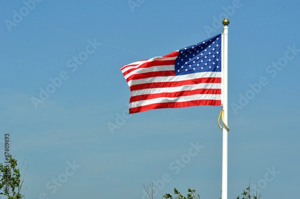 Obraz Amerikanische Flaffe