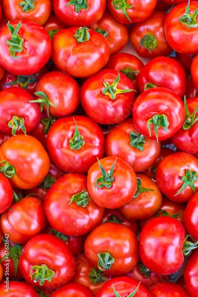 Obraz Reife rote Tomaten