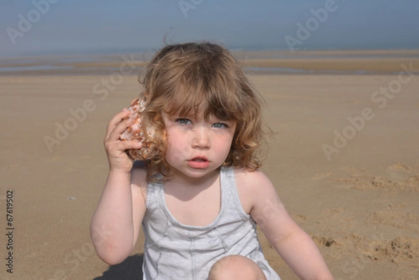 Obraz plage et coquillage