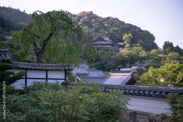 Obraz 長谷寺，奈良県，寺， 日本の建築物，木造，伝統, 日本の文化，建築,，アジア，仏塔,，古代， 旅行，日本,，伝統，歴史