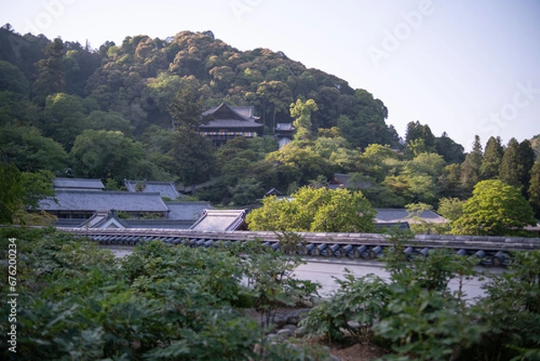 Obraz 長谷寺，奈良県，寺， 日本の建築物，木造，伝統, 日本の文化，建築,，アジア，仏塔,，古代， 旅行，日本,，伝統，歴史