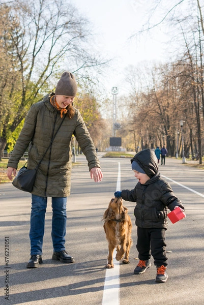 Fototapeta Mom and son are walking and playing in the city park with a cocker spaniel dog.